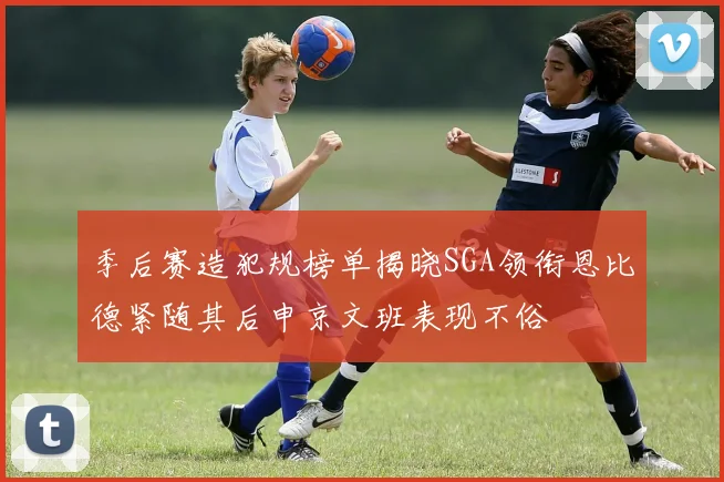 季后赛造犯规榜单揭晓SGA领衔恩比德紧随其后申京文班表现不俗
