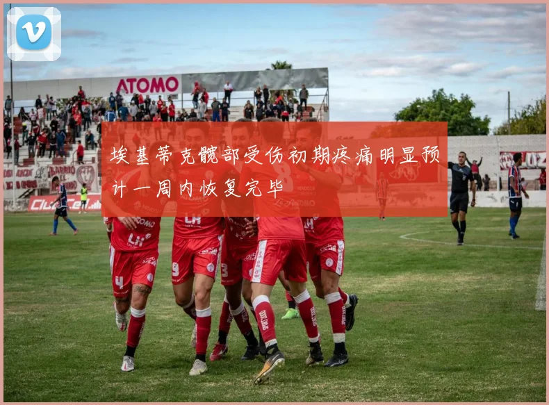 埃基蒂克髋部受伤初期疼痛明显预计一周内恢复完毕